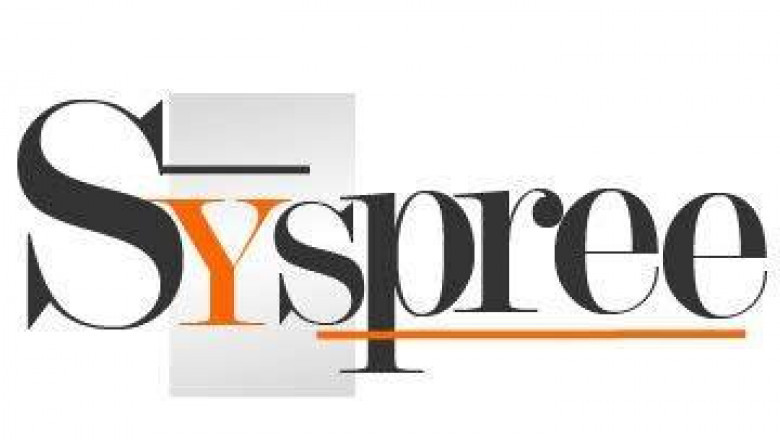 SySpree Digital, Offering Amazing Website Development Packages In Mumbai