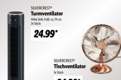 You will get everything at Lidl DE; All at a reasonable rate You will get everything at Lidl DE; All at a reasonable rate