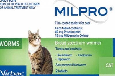 Buy Milpro Allwormer For Cats Over 2 Kg | DiscountPetCare