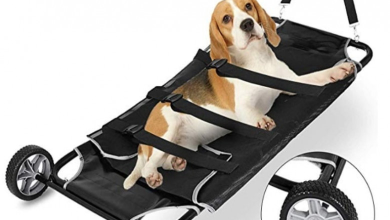 Happybuy Animal Stretcher Black – Find What You Are Looking For Online