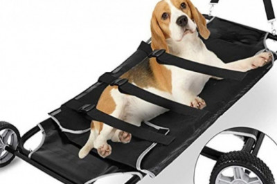 Happybuy Animal Stretcher Black – Find What You Are Looking For Online