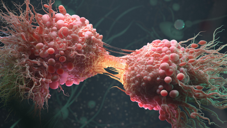 Market Trends, Share, Size, Growth, Opportunity and Forecast for Cancer Cell Market in 2020-2027