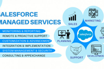 Salesforce Managed Services: Overview