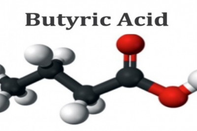 The Global Butyric Acid Market: Shares, Sizes, Growth, Opportunities, And Forecasts From 2022 To 2028