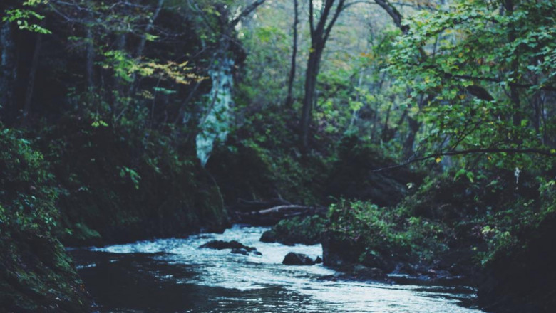 4 major strategies that really you overcome panic attacks