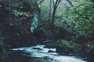 4 major strategies that really you overcome panic attacks