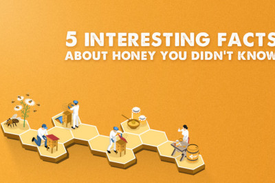 5 Interesting facts about honey you didn't know