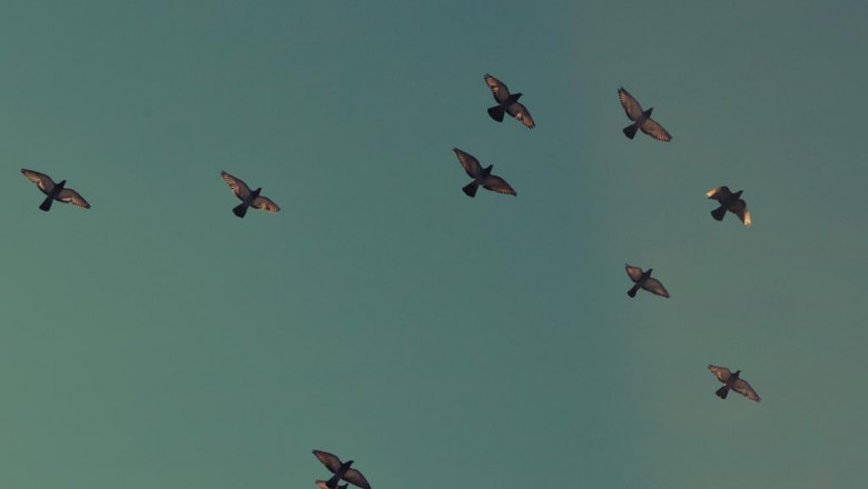 braces for more flooding just one week water damage mississauga