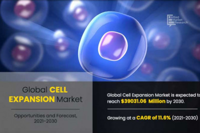 Cell Expansion Market Update: 3 Companies Showing Sign of Enormous Growth