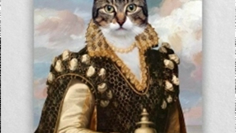 Create Memories of Pets to Recall and Rejoice Forever with Customized Furryroyal Pet Portraits