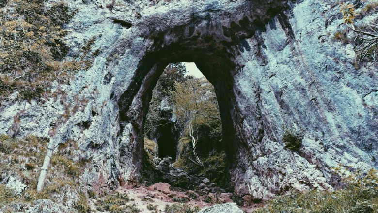 everything youve ever wanted to know about saenjeukajino