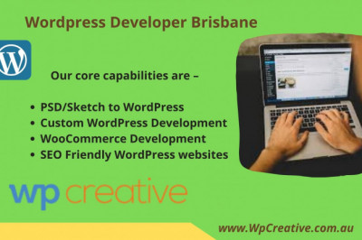 Perks of hiring a professional WordPress Developer Brisbane