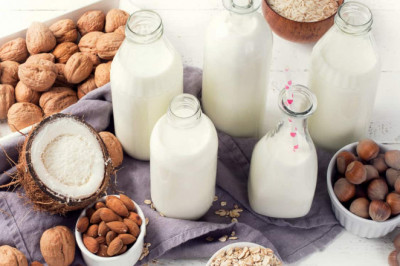 Plant Based Dairy Alternative are likely to Remain Popular for Many years