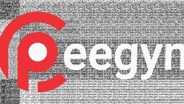 Scholarships For International Students |Pee Gyn