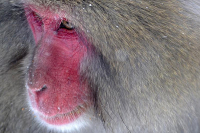 the pros and cons of custom hockey jerseys calgary cheap