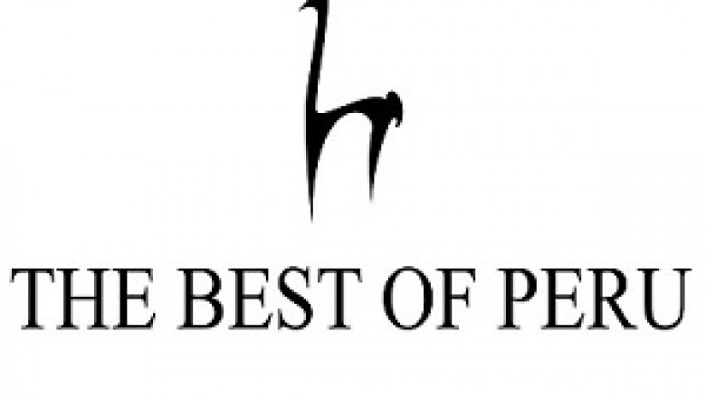 Warm Women Alpaca Sweater by Thebestofperu!