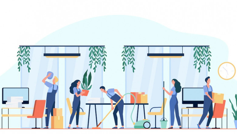 What is the reason for hiring professional cleaners?