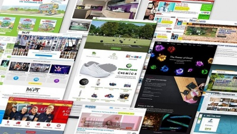 Why consider hiring an expert online store Website developer?