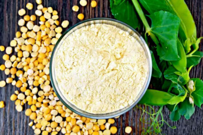 Yellow Pea Protein: Trends, Demand and Future Opportunities
