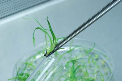 3 Benefits of Science-Based Skin Care