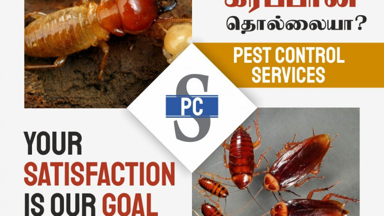 Cockroach Control services in Chennai