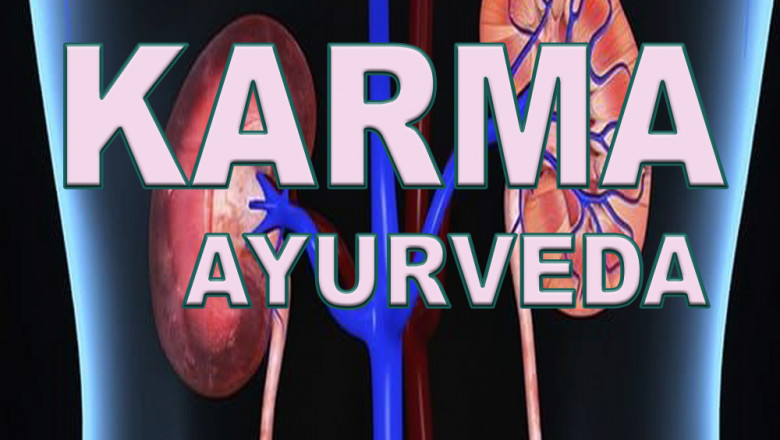 dr puneet dhawan karma ayurveda  kidney specialist reviews