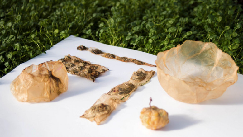 Edible Packaging Materials are Expected to Limit the Growth of the Edible Packaging Market