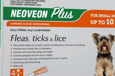 Neoveon Plus for Small Dogs Upto 10Kg Controls Fleas and Lice
