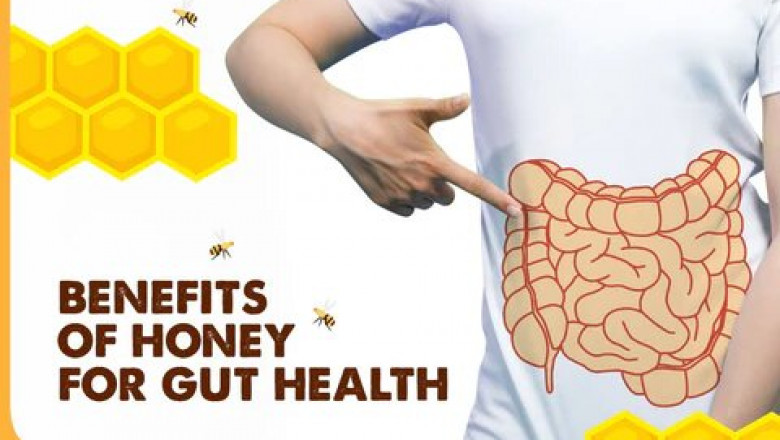 Raw Honey For Good Gut Health