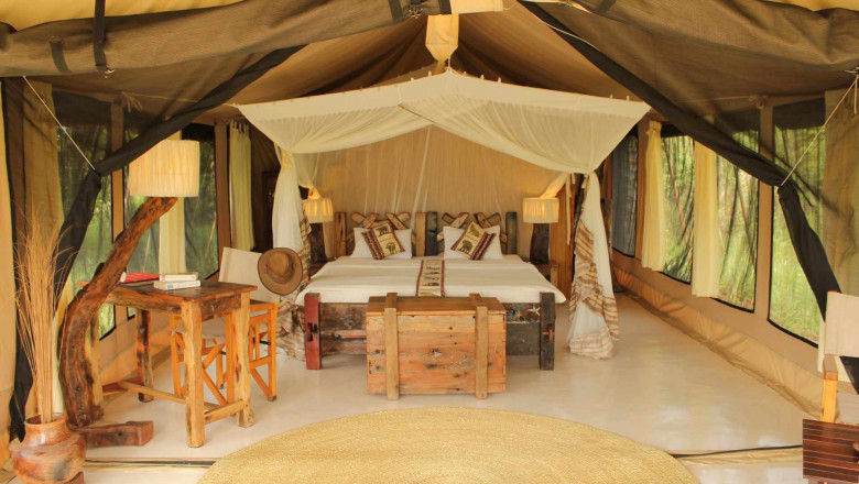 Honeymoon In Serengeti