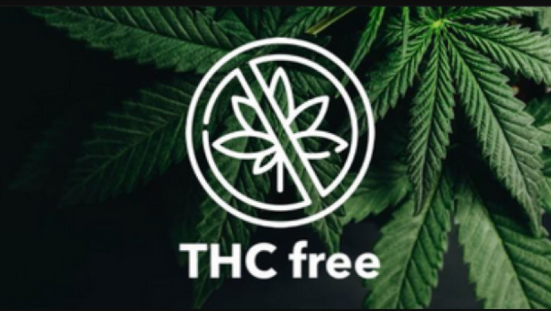 How I Learned to Stop Worrying and Love Condor CBD Gummies