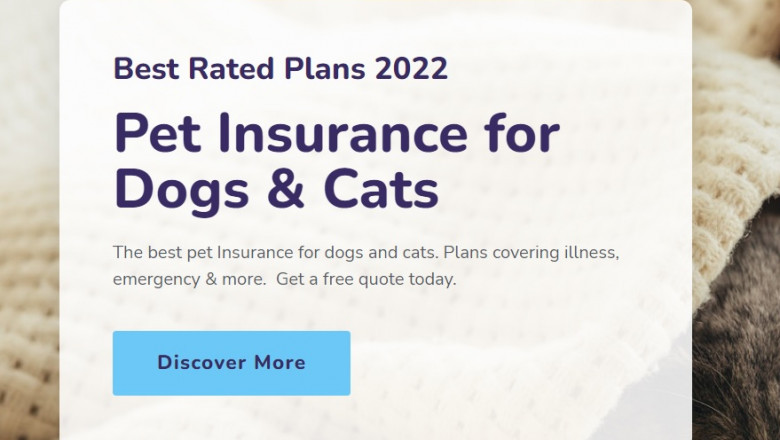 Wanting to Determine For those who Must Get Pet Insurance?
