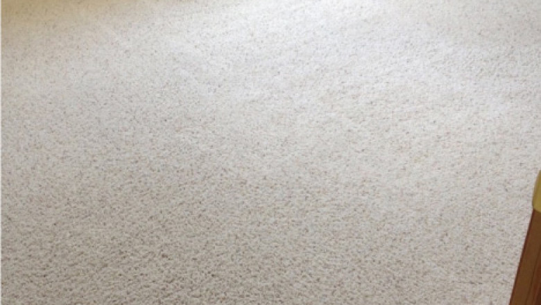 Best Carpet Cleaning Service to Enhance Indoor Air Quality in Canberra