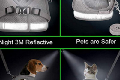 GAUTERF Visibility Pet Harness & Leash – The Best Quality Leash Available