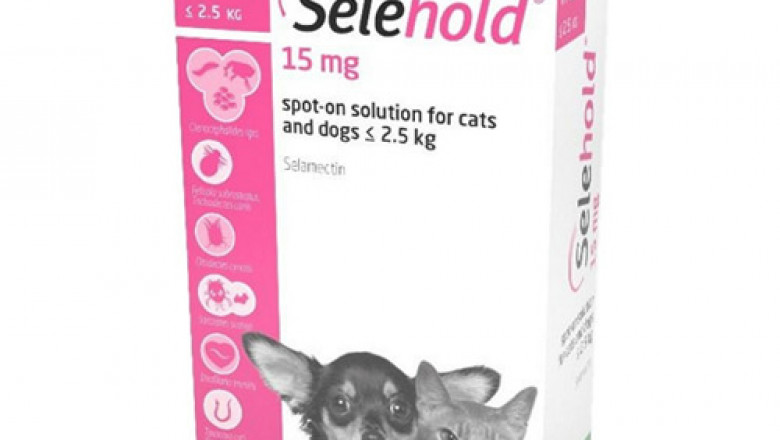 Buy Selehold for Dogs Online | Generic Version of Revolution