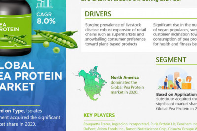 Global Pea Protein Market will touch New Level in Upcoming Year by Key Players