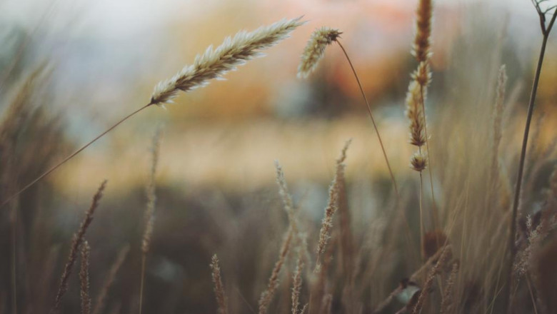 10 principles of psychology you can use to improve your thorakismenes portes