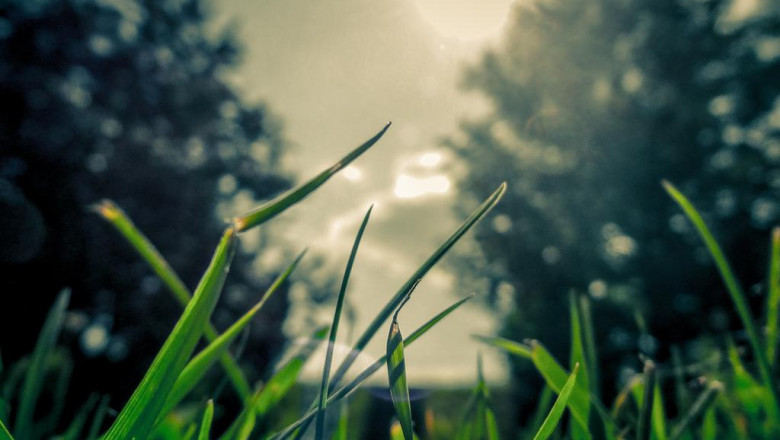 396 yoga exercise teacher training retreats