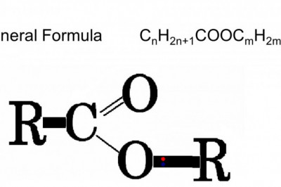 All we need to know about Esters