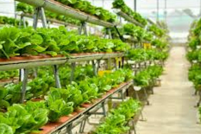 Global Indoor Farming Market size, share, analysis, trends, growth, and forecast to 2027