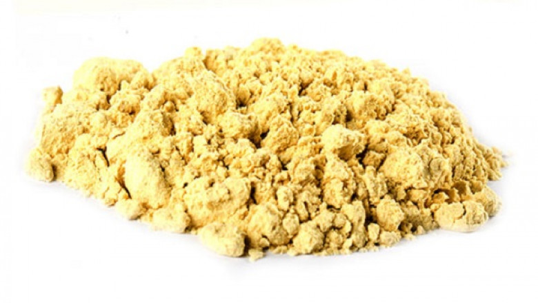 Global Mammalian Transient Protein Market is Expected to reach US$ 1.3 Bn by 2030 at a CAGR of 9.0%