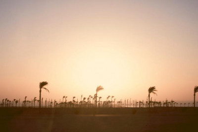 huong dan danh cho nguoi moi bat dau ve blogtruyen