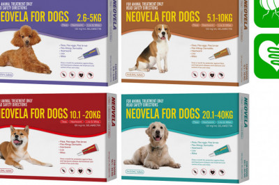 Neovela for Dogs; A Generic Revolution to Prevent Fleas and Worms