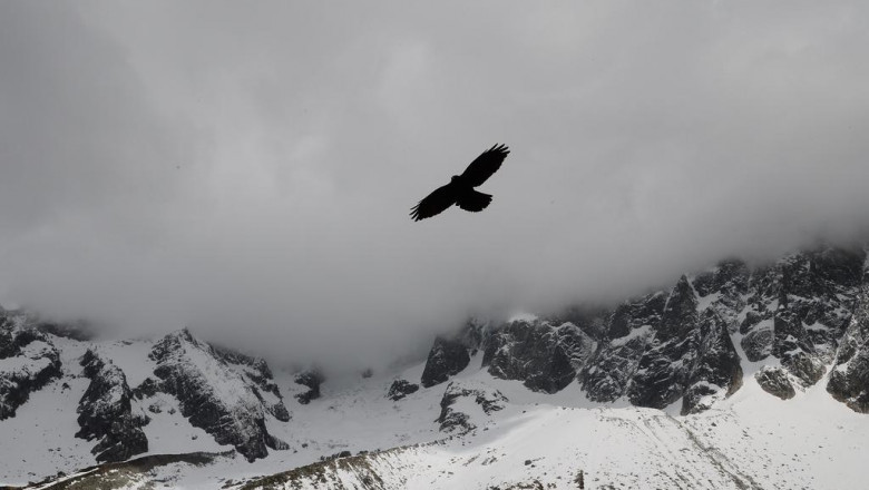 the engineering together with merchandise array for electric measurements from hangzhi