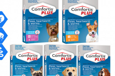 To treat and prevent fleas and worms in dogs, use Comfortis Plus