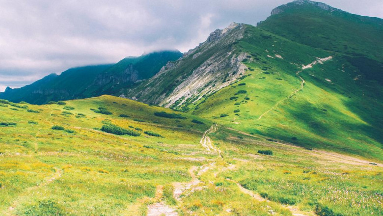 top rated real estate agents reviews of the best real estate agent