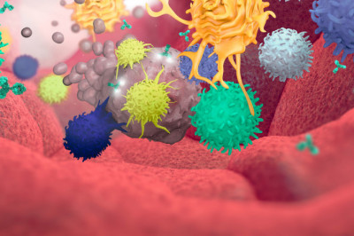 What is Immuno Oncology Assays and how it used for cancer treatment?
