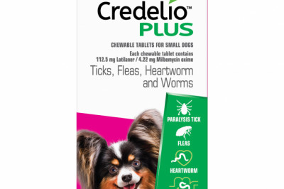 Credelio Plus | Fleas, Worms & Heartworm | DiscountPetCare