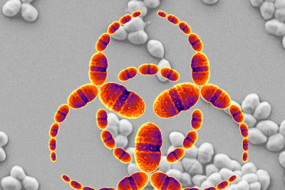 The surprising facts about Botulinum Toxin compound in cosmetics