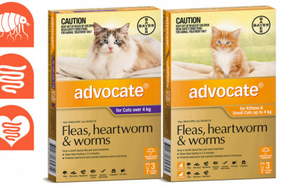 ADVOCATE- Flea, Heartworm & Worm Treatment for Cats